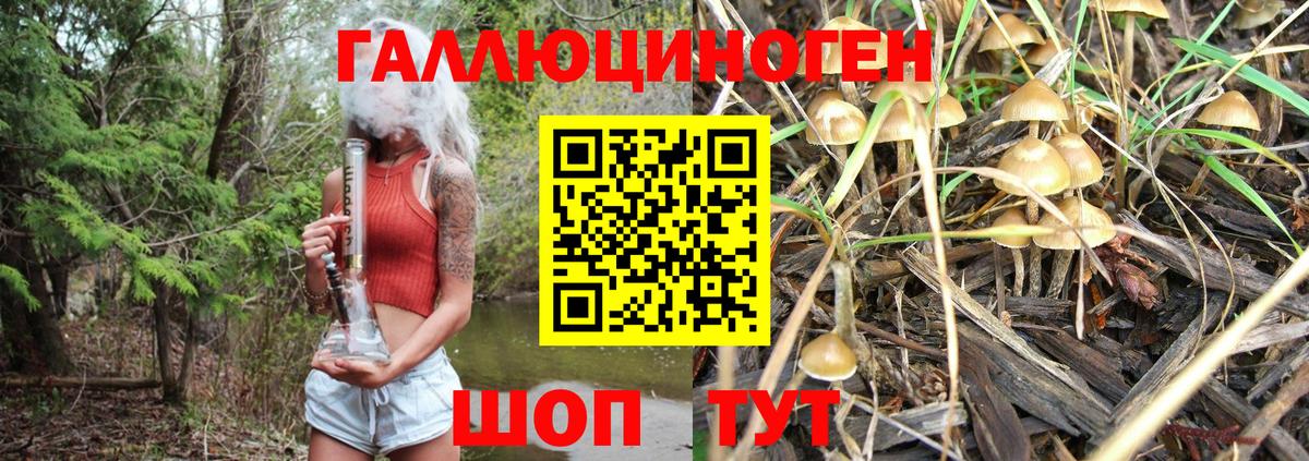 Псилоцибиновые грибы Psilocybine cubensis  Вход с VPN  Советский  Галлюциногенные грибы Psilocybe 